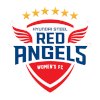 Nữ Hyundai Steel Redangels logo