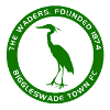 Biggleswade Town logo