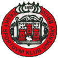 Uhersky Brod logo