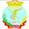 FC Ursidos Stauceni logo