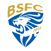 Brescia Youth logo