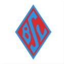 Blumenthaler SV logo