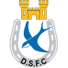 Dungannon Swifts logo