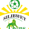 APS Bomet logo