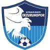 Erzurum BB logo