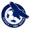 Ironi Nesher logo