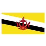 U23 Brunei logo