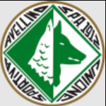 AS Avellino Youth logo