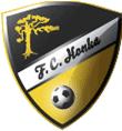 Pallohonka