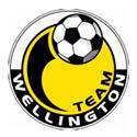 Team Wellington