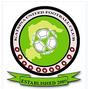 Katsina United logo