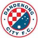 Dandenong City U21