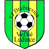 TJ Druzstevnik Vrakun logo