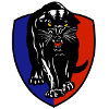 Adelaide Panthers logo