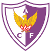 CA Fenix logo