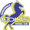 Cumbernauld Colts logo