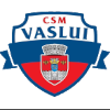 FC Vaslui