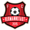 Hermannstadt logo