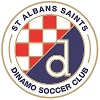 St. Albans Saints U21