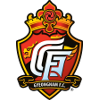 Gyeongnam FC logo