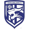 Wuhan Three Towns logo