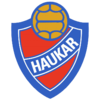 Haukar logo