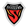 Pohang Steelers logo