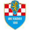 HNK Vukovar 91 logo