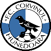 Corvinul Hunedoara logo