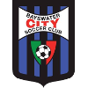 Bayswater City logo